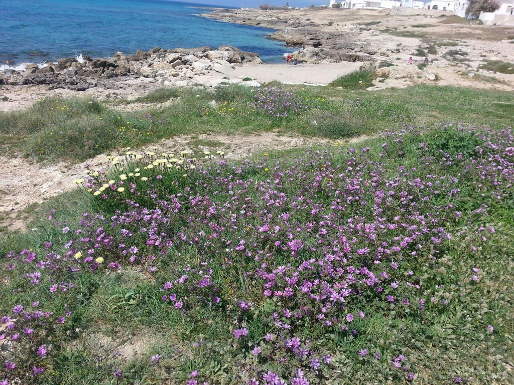 A Casa Di Paola Hotel Sant'Andrea  Esterno foto